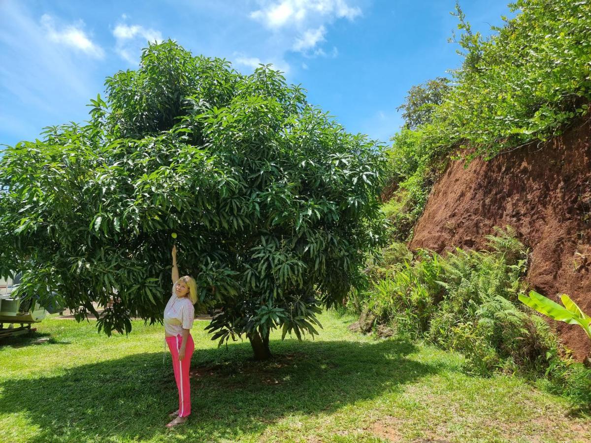Mirella Villa Island Princess Villa Anse Volbert Village Esterno foto
