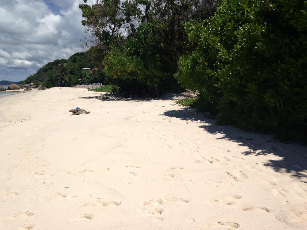 Mirella Villa Island Princess Villa Anse Volbert Village Esterno foto